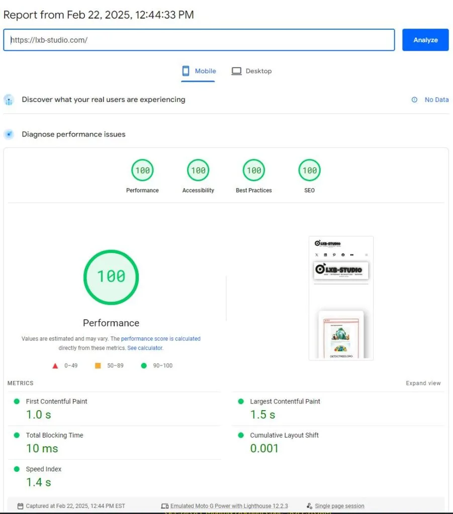 LXB-Studio SEO MARKETING DESIGN SOCIAL MEDIA HOSTING SPEED GOOGLE PAGE SPEED SCREEN SHOT FEB22 2025