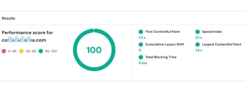 LXB-Studio SEO MARKETING DESIGN SOCIAL MEDIA HOSTING SPEED GOOGLE PAGE SPEED SCREEN SHOT FEB22 2025 CWT EDIT